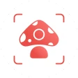 Picture Mushroom - Mushroom ID icon