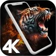 4K Wallpapers - HD Backgrounds icon