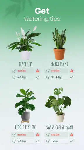 Blossom - Plant Identifier screenshot