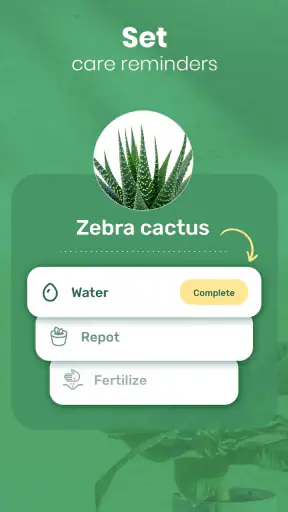 Blossom - Plant Identifier screenshot