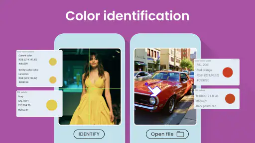 Color Identification screenshot