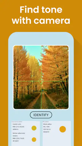 Color Identification screenshot
