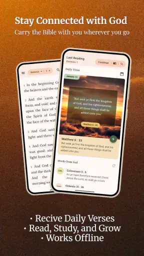 King James Bible (KJV) screenshot
