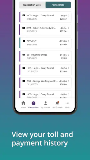 Official E-ZPass NY screenshot