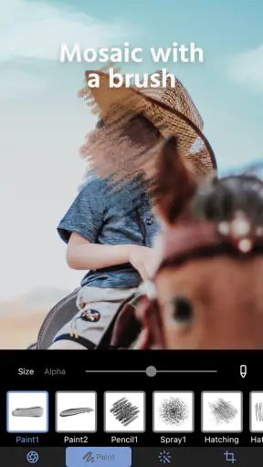 Photo Blur & Mosaic Effects screenshot