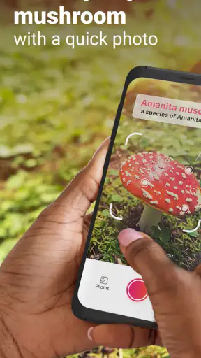 Picture Mushroom - Mushroom ID screenshot