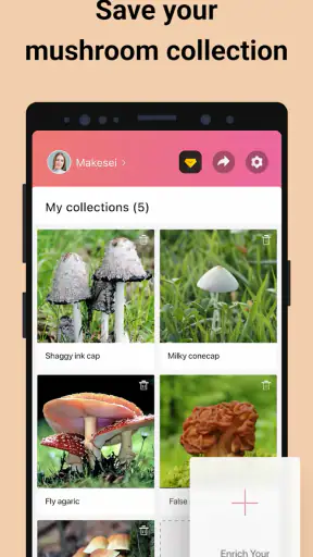 Picture Mushroom - Mushroom ID screenshot