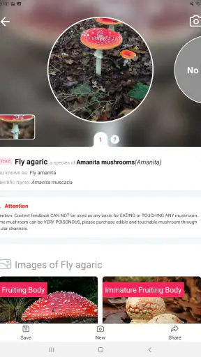 Picture Mushroom - Mushroom ID screenshot