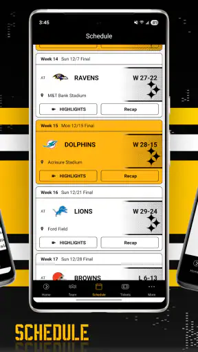 Pittsburgh Steelers screenshot