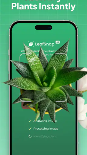 Plant Identifier: LeafSnap screenshot