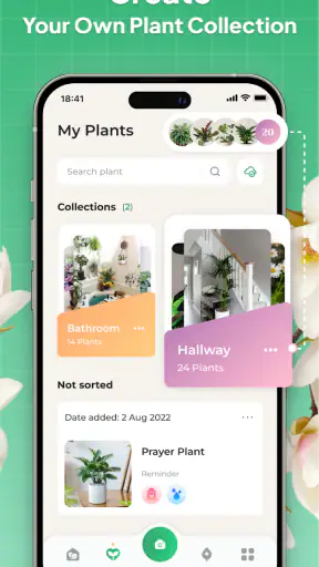 Plant Identifier: LeafSnap screenshot