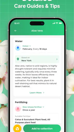 Plant Identifier: LeafSnap screenshot