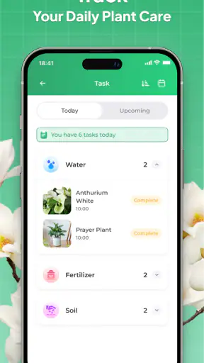 Plant Identifier: LeafSnap screenshot