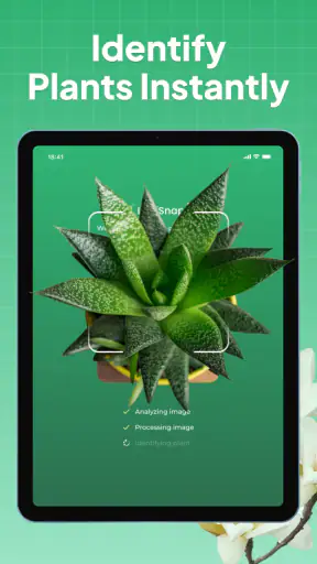Plant Identifier: LeafSnap screenshot