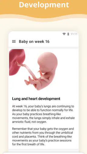 Pregnancy App screenshot