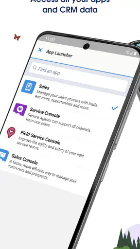 Salesforce screenshot