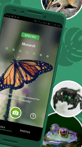 Seek by iNaturalist screenshot