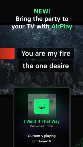 Singa: Sing Karaoke & Lyrics screenshot