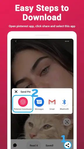 Video Downloader for Pinterest screenshot