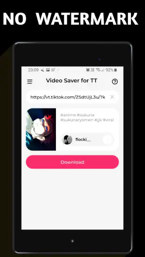 Video Downloader TSaver screenshot