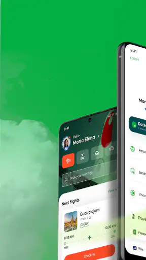 Viva screenshot