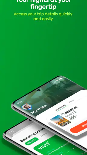 Viva screenshot