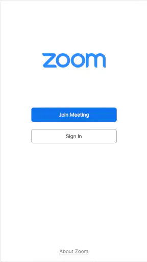 Zoom Workplace for Chromebook screenshot